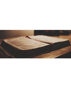 Biblia - Polnisch